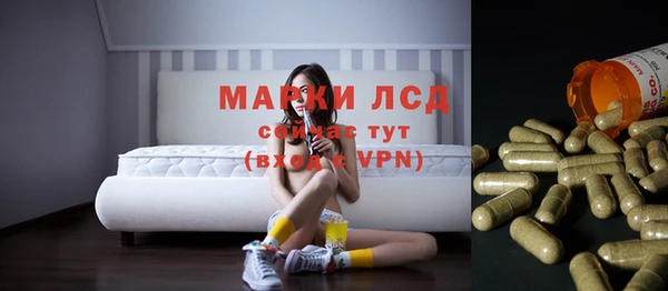 ГАЛЛЮЦИНОГЕННЫЕ ГРИБЫ Козельск