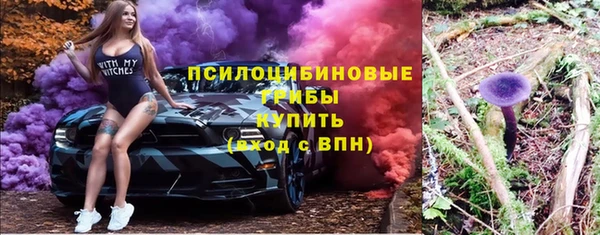 ГАЛЛЮЦИНОГЕННЫЕ ГРИБЫ Козельск