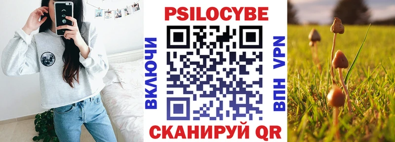 Купить где  Данилов  Псилоцибиновые грибы Psilocybe 